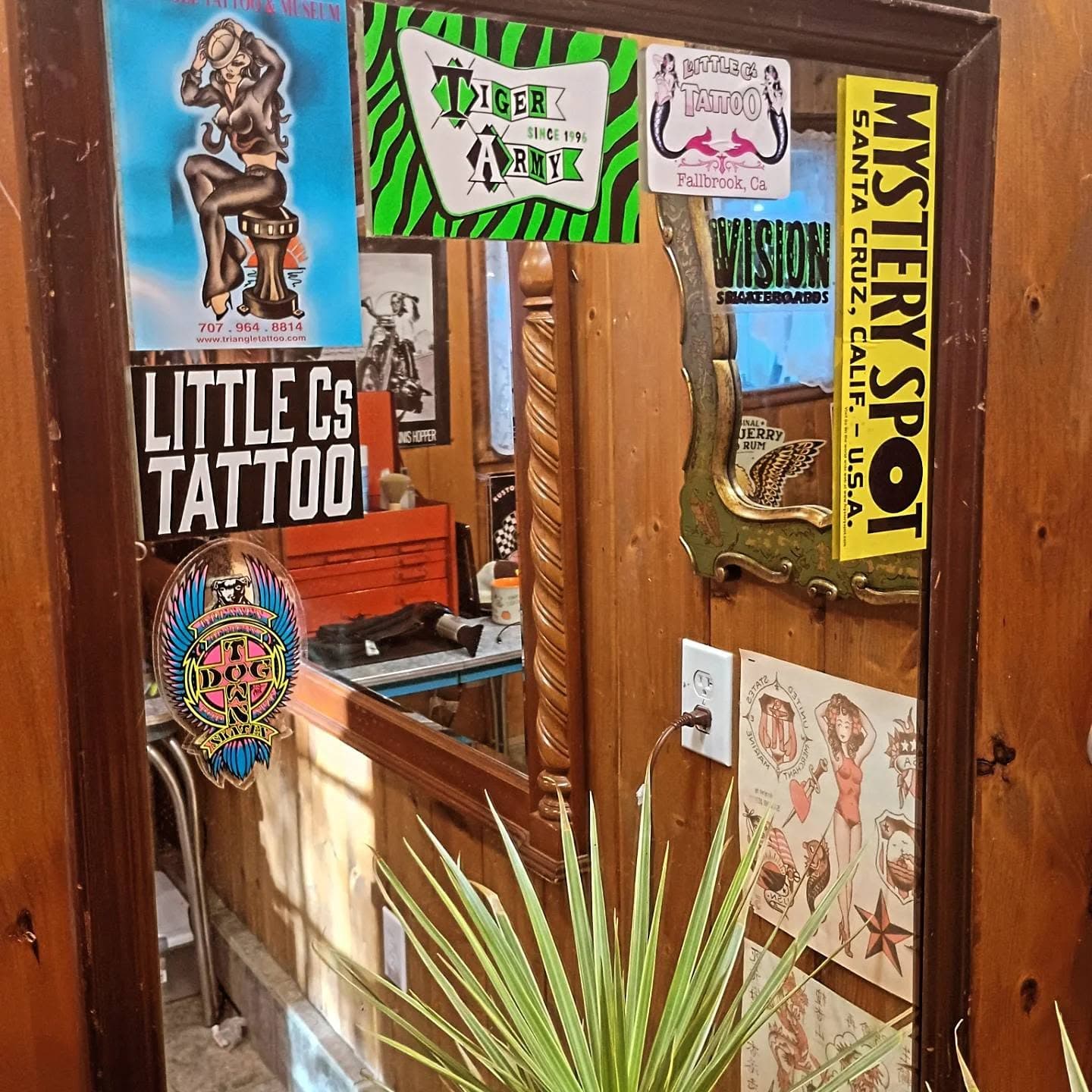 Barbershop signage, mirrors, and decorative plants